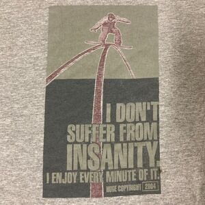 Vintage 2004 Huge Sport Steamboat Springs Snowboard Insanity T-Shirt Gray XL